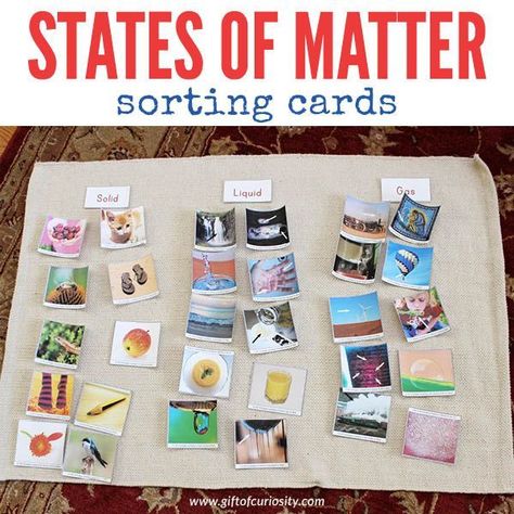 Free printable States of Matter sorting cards for kids to learn about solids, liquids, and gasses. Great science activity for preschool or kindergarten. Science Kindergarten, Matter Activities, Grade 2 Science, Second Grade Science, 1st Grade Science, Matter Science, States Of Matter, Science Activities For Kids, Kindergarten Science