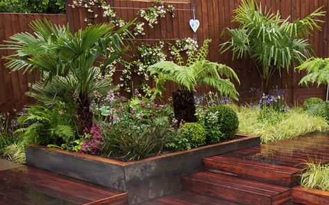 Tropical Plants Uk, Tropical Garden Plants, Love Your Garden, Small Tropical Gardens, Alan Titchmarsh, Plants Uk, Tropical Garden Design, Jungle Gardens, Garden Ideas Cheap