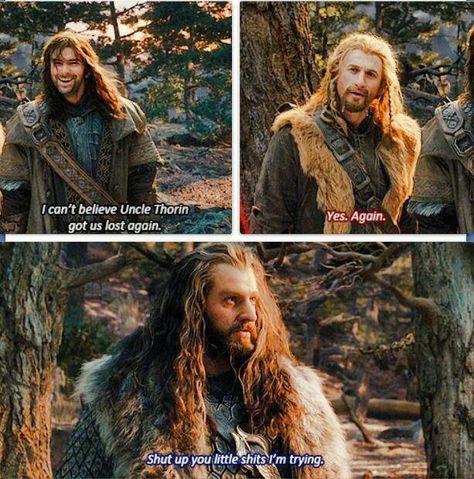 The Desolation of Smaug Hobbit Funny, Lotr Funny, Fili And Kili, Thorin Oakenshield, An Unexpected Journey, Hobbit Hole, Tauriel, The Shire, Thranduil