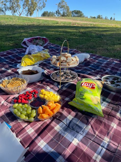 Picnic vibes aesthetic Picnic Aesthetics, Yummy Aesthetic, Picnic Vibes, Picnic Aesthetic, Fake Story, Picnic Blanket, Outdoor Blanket, Carpet, Table Decorations