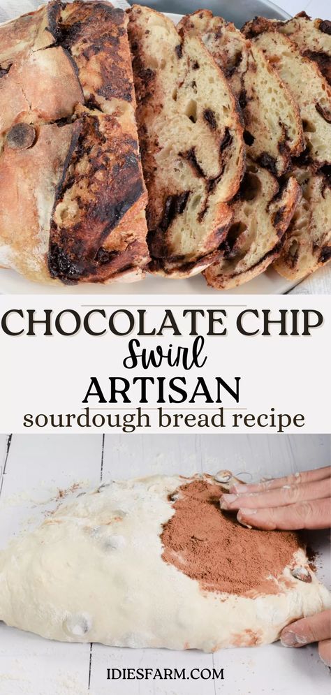 Adding the filling to sourdough for Chocolate Chip Swirl Artisan Sourdough Bread Recipe. Chocolate Chip Sourdough, Artisan Sourdough Bread, Artisan Sourdough Bread Recipe, Artisan Sourdough, Savory Bread Recipe, Chocolate Chip Bread, Artisan Bread Recipes, Sourdough Starter Recipe, Bread And Butter Pudding