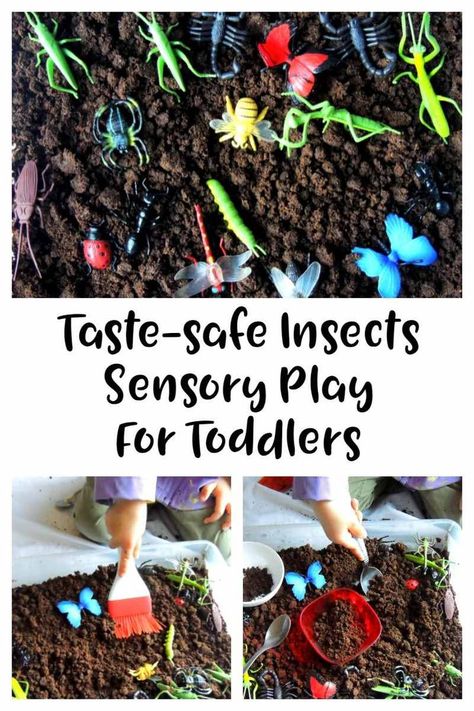 Insect sensory bin for toddlers taste safe. A fun sensory play activity great for toddlers and preschoolers. Sensory bins, sensory play, tuff tray play. Toddler Activities, toddler activity Insect Sensory Bin, Insect Sensory, Sensory Play For Toddlers, Sensory Bin For Toddlers, Sensory Play Toddlers, Toddler Sensory Bins, Bug Activities, Insect Activities, Play Activity