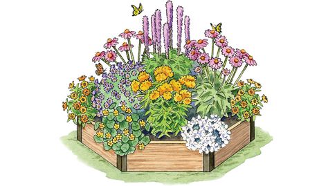 Garden Design: Planting Plan for Butterflies | Gardeners.com Pollinator Garden Plans, Pollinator Garden Design, Attracting Hummingbirds, Perennial Garden Plans, Butterfly Garden Design, Garden Plan, Planting Plan, Hummingbird Garden, Pollinator Garden