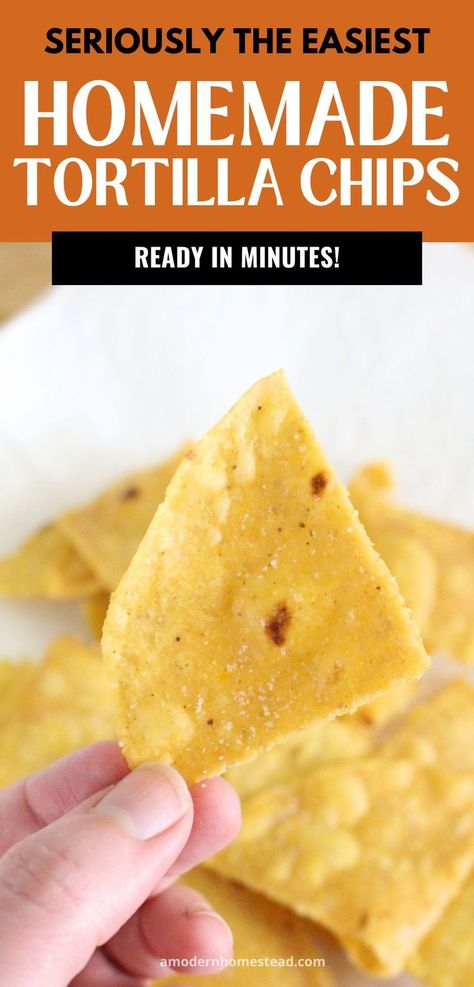 pile of freshly fried homemade corn tortilla chips on a plate. A mason jar of red berries in the background with text that says seriously the easiest homemade corn tortilla chips ready in minutes. Homemade Corn Tortilla Chips, Fried Tortilla Chips, Corn Taco, Homemade Tortilla, Homemade Corn Tortillas, Homemade Tortilla Chips, Fried Tortillas, Corn Tortilla Chips, Homemade Lunch