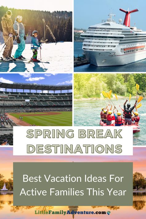 spring break family vacation ideas, family-friendly destination, vacation ideas for families Spring Break Ideas For Families, Baseball Spring Training, Best Spring Break Destinations, Spring Break Ideas, Spring Training Baseball, Family Spring Break, Best Bucket List, Break Ideas, Staycation Ideas