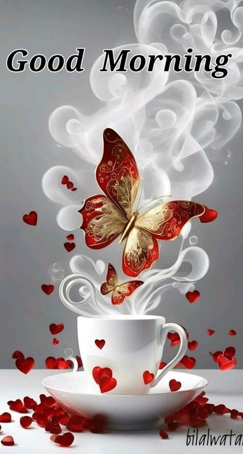 Cute Good Morning Gif, Good Morning Animals, Good Morning Winter, Good Morning Hug, Good Morning Love Gif, Good Evening Greetings, Good Morning Greeting Cards, Good Morning Flowers Rose, Good Morning Coffee Gif