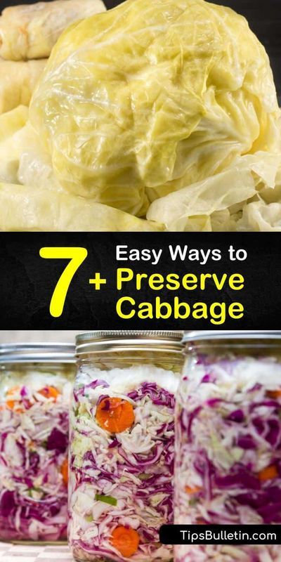 This is the ultimate guide for preserving fresh cabbage. These recipes walk you through blanching veggies, root cellar storage, frozen cabbage, and even coleslaw. Grab your favorite green, Napa, or red cabbage and eat this hearty veggie all winter long. #preserve #fresh #cabbage Canning Napa Cabbage, Spiced Cabbage Recipe, Preserving Cabbage Recipes, Canning Red Cabbage Recipes, Freezing Cabbage Without Blanching, Canning Cabbage Recipes Water Bath, Cabbage Canning Recipes, Cabbage Freezing, Canning Red Cabbage