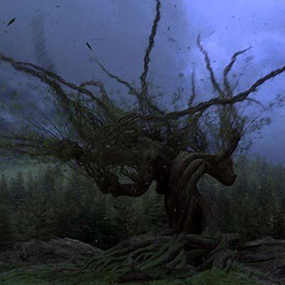 whomping willow on grounds of hogwart's school of witchcraft and wizardry, harry potter and the prisoner of azkaban, by jk rowling Whomping Willow Aesthetic, Willow Movie, Shifting Methods, Whomping Willow, Dorm Aesthetic, Magical Beings, School Of Witchcraft, The Prisoner, The Prisoner Of Azkaban