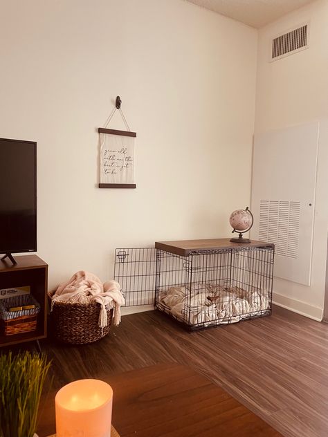 Crate with wood at top and living room decor Small Living Room Dog Area, Dog Areas In House Aesthetic, First Apartment With Dog, Dog Setup In Apartment, Aesthetic Dog Room Ideas, Living Room With Pets, Dog Toy Basket Living Rooms, Apartment Dog Setup, Room With Dog Crate