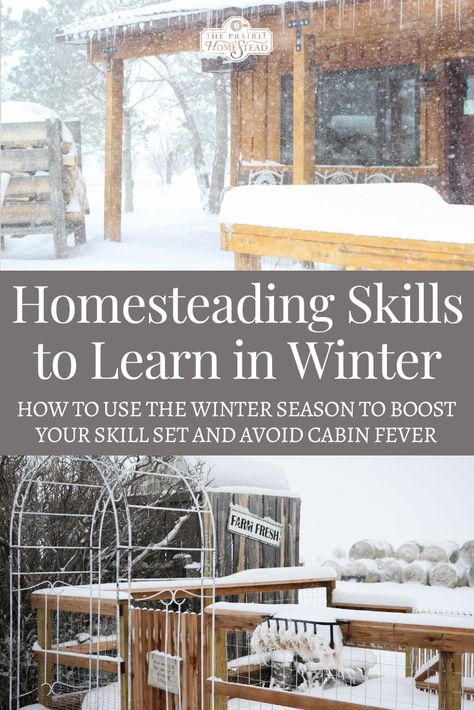 Winter Homesteading Projects, Mini Homestead Ideas, Basic Homestead Skills, Winter Homestead Projects, Urban Homesteading Aesthetic, Living Off The Grid Homestead Survival, Neighborhood Homestead, Homesteading Skills To Learn, Homesteading In The City