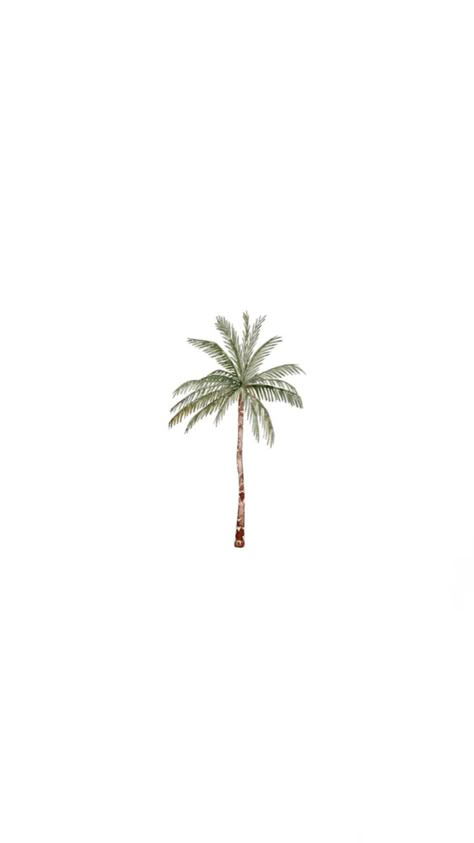 Beach Highlights Instagram, Beach Iphone Layout, Tropical Widgets, Coconut Wallpaper, Iphone Wallpaper Pinterest, Beach Wall Collage, Iphone Lockscreen Wallpaper, Clean Beach, Iphone Wallpaper Photos