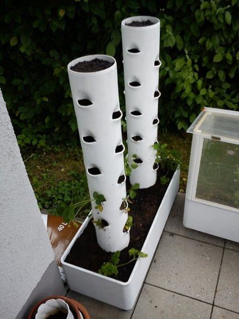 Vertical Planter Diy, Vertikal Garden, Vertical Vegetable Garden, Vertical Herb Garden, Vertical Garden Diy, Vertical Planter, Pvc Pipes, Bottle Garden, Hydroponic Gardening