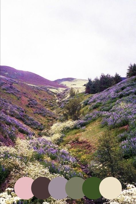 Purple Gray Green Color Palette, Moorland Colour Palette, Herbs Color Palette, Dark Grey And Green Color Palette, Rustic Spring Color Palette, Lilac And Sage Color Palette, Heather Colour Palette, Purple Earthy Aesthetic, Ireland Color Palette