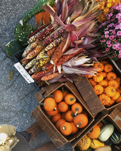 Autumn Farmers Market Aesthetic, Autumn Market Aesthetic, Farmers Market Aesthetic Fall, Autumn Harvest Aesthetic, Fall Farmers Market Aesthetic, Iphone Wallpapers Funny, September Produce, Autumn Farmers Market, Aesthetic Wallpaper Christmas