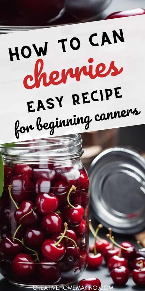 Learn how to can cherries at home with these simple and delicious recipes. Stock up on this versatile fruit and add a burst of flavor to your favorite dishes! How To Can Cherries, Can Cherries, Canning Cherries, Cherry Lemonade, Bing Cherries, Canned Cherries, Cherry Recipes, Cherry Juice, Canning Recipes