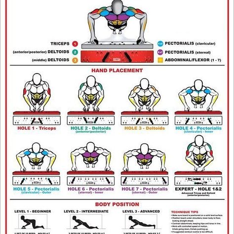 34 Likes, 0 Comments - www.rubenentrenador.com (@entrenador_personal_valencia) on Instagram Push Up Muscles, Push Up Workout, Gym Workout Chart, Workout Routine For Men, Workout Posters, Bar Workout, Calisthenics Workout, Workout Chart, Chest Workouts