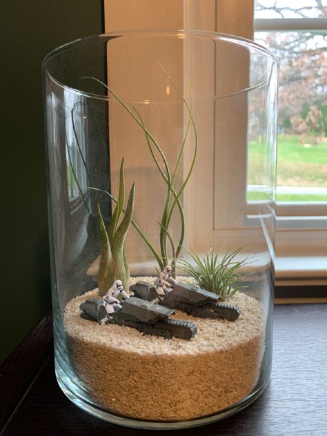 Star Wars Related Gifts, Star Wars Aesthetic Bedroom, Star Wars Inspired Decor, Airplane Terrarium, Star Wars Living Room Ideas, Star Wars Terrarium Diy, Nerdy Terrarium Ideas, Tatooine Aesthetic Bedroom, Diy Star Wars Gift