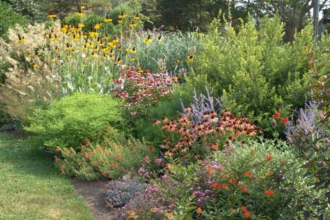 5 Benefits to Landscaping with Low Maintenance Native Plants Florida Plants Landscaping, Cottage Landscaping, Low Maintenance Landscaping Front Yard, Native Plant Landscape, Native Landscaping, Landscaping Shrubs, Low Maintenance Shrubs, Garden Plot, Plant Landscape