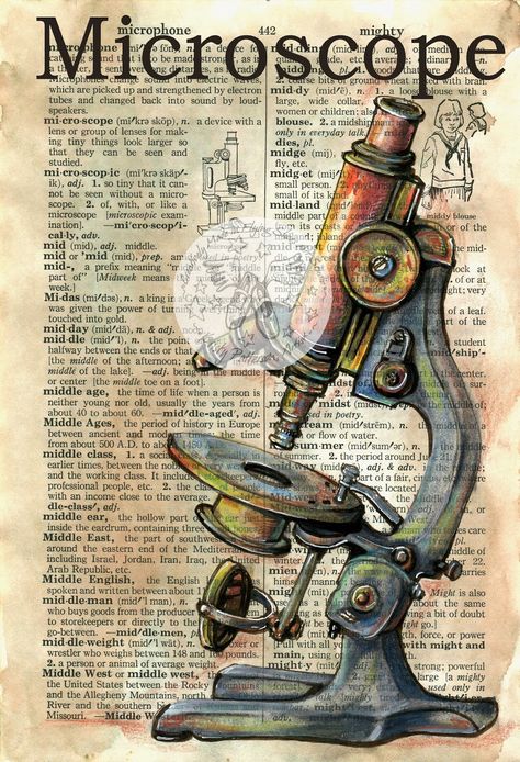 flying shoes art studio: MICROSCOPE Book Definitions, Mixed Media Drawing, Media Drawing, Shoes Art, Newspaper Art, Book Page Art, Dictionary Page, Dictionary Art, Old Book