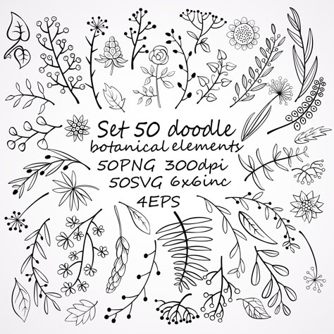 Houseplant Doodles, Foliage Doodle, Zentangle Flower Doodles, Floral Doodles Pattern, Scrapbook Doodles, Botanical Doodles, Floral Doodles, Doodle Floral, Floral Design Pattern