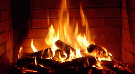 Burning Fireplace Logs GIF - Burning Fireplace Fire Logs - Discover & Share GIFs Fireplace Screensaver, Happy Yule, Fireplace Video, Smooth Jazz Music, Christmas Desktop, Log Fires, Yule Log, Christmas Fireplace, Smooth Jazz