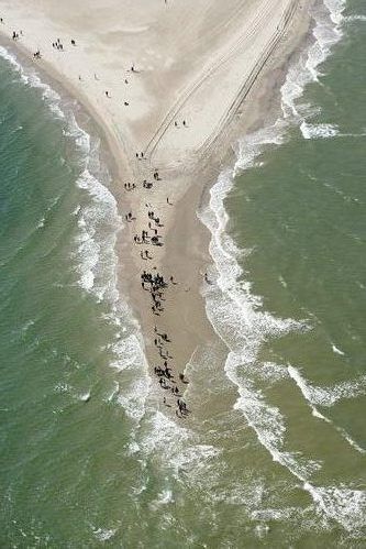 Grenen//Skagen Skagen Denmark, Vw Lt, Skagen, Travel Memories, Golden Hour, More Fun, Denmark, Water, Travel