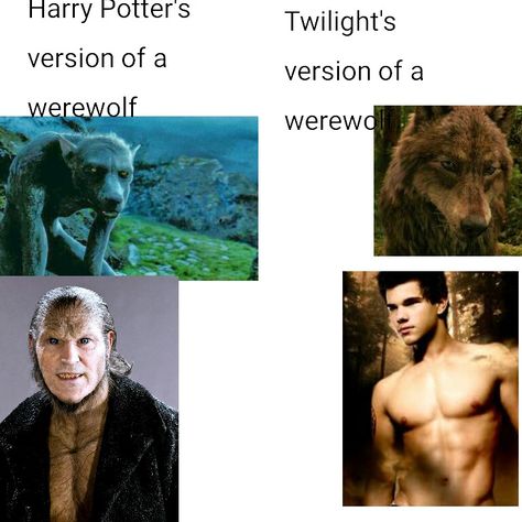 When Harry Potter is so much better than Twilight Twilight Harry Potter Memes, Harry Potter And Twilight Memes Funny, Werewolf Harry Potter, Harry Potter And Twilight, Harry Potter Vs Twilight, Harry Potter Twilight, Twilight Jokes, Twilight Funny, Twilight Memes