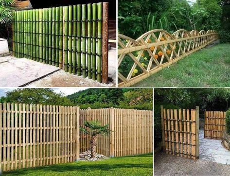 Diy Privacy Fence Ideas, Bamboo Privacy Fence, Sustainable Diy, Diy Privacy Fence, Privacy Fence Ideas, Bamboo Privacy, Office Chalkboard Ideas, Tropical House Design, Fence Diy