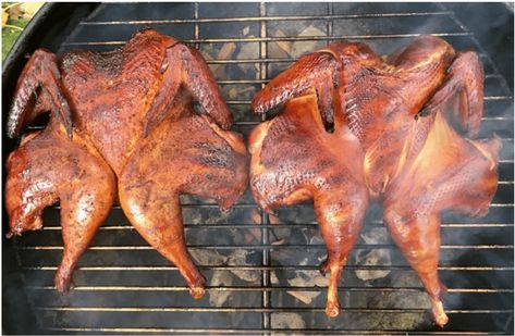 Whole Pheasant Recipes, Smoked Pheasant, Pheasant Recipe, Pheasant Recipes, Pellet Smoker Recipes, Dry Brine, Bradley Smoker, Bbq Appetizers, Pellet Grill Recipes