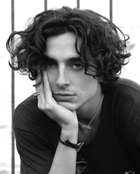 Disfraces Stranger Things, Regulus Acturus Black, Boy Haircut, Timmy T, Regulus Black, Celeb Crushes, The Perfect Guy, Timothee Chalamet, Fav Celebs