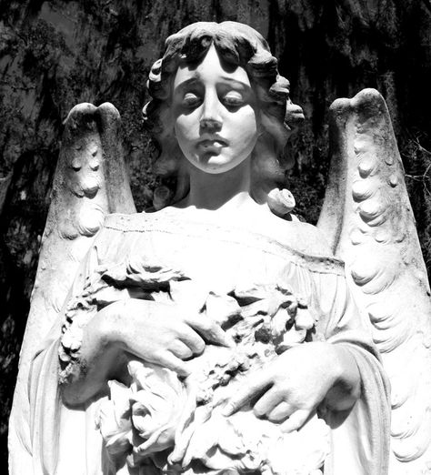 Bonaventure Angel Angel Statue, An Angel, Cemetery, Angel, Statue, Black And White, Flowers, White, Black