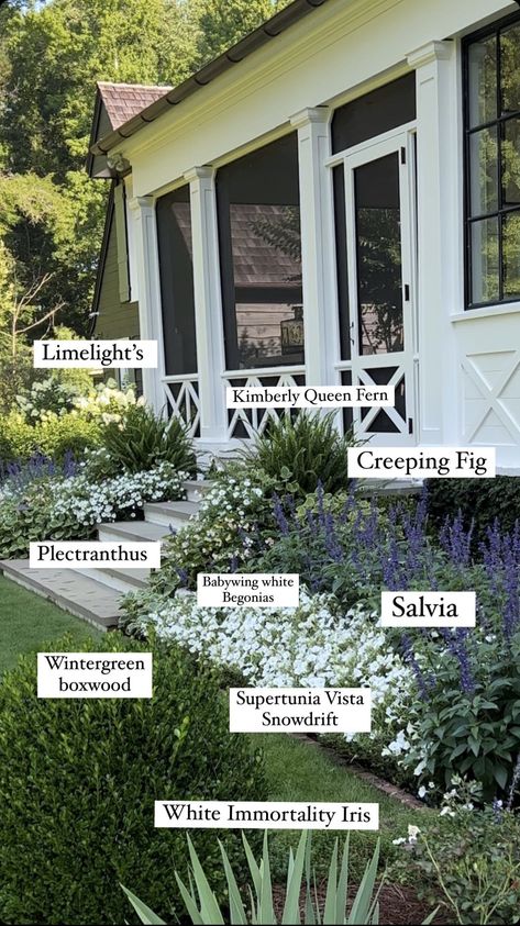 Yard Ideas Diy, Ideas For Dogs, Front Yard Garden Design, Front Landscaping, Dry Creek, Home Garden Design, Casa Exterior, Have Inspiration, Backyard Inspo