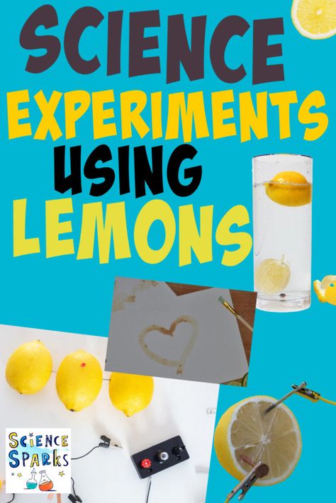 Lemon Science Experiments Kids, Lemon Battery Science Project, 3rd Grade Science Projects, Using Lemons, Chemistry Experiments For Kids, Lemonade Birthday Party, Simple Science Experiments, Science Experiments Kids Easy, Summer School Activities