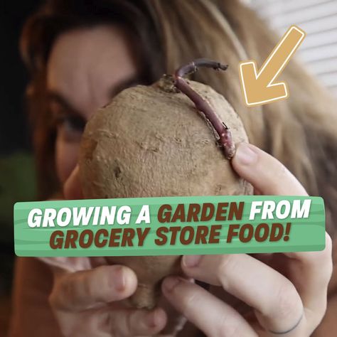 Roots And Refuge Farm, Grocery Store Food, Food Growing, Store Food, Pet Hacks, Food Store, Grocery Store, Garden Ideas, Youtubers