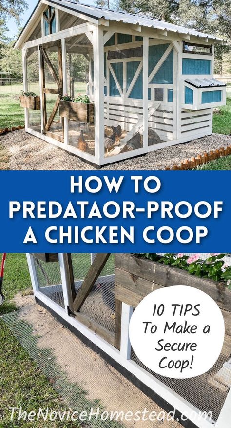 Chicken Coop Designs Diy, Urban Chicken Coop, Quail Coop, Hen Coop, Chicken Roost, Small Chicken Coops, Cute Chicken Coops, Chicken Coop Garden, Backyard Chicken Coop Plans