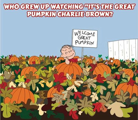 Welcome Great Pumpkin Wallpaper, Charlie Brown Nails, Fall Computer Backgrounds, Fall Desktop Backgrounds, The Great Pumpkin Patch, Charlie Brown Wallpaper, Desktop Wallpaper Fall, The Great Pumpkin Charlie Brown, Peanuts Wallpaper