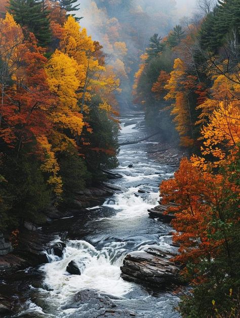 Allegheny Mountains from the Highland Scenic Highway, West Virginia West Virginia Mountains, Autumn Images, Allegheny Mountains, Fall Foliage, West Virginia, Virginia, Forest, Nature