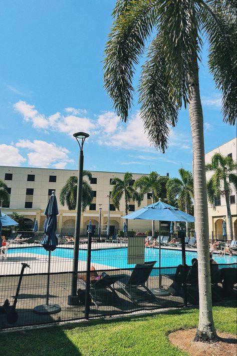 Florida International University Campus, Florida International University Aesthetic, Fiu College Aesthetic, College Prints, Florida College, Myrtle Beach Hotels, Florida Pool, Mha Dr, Colleges In Florida