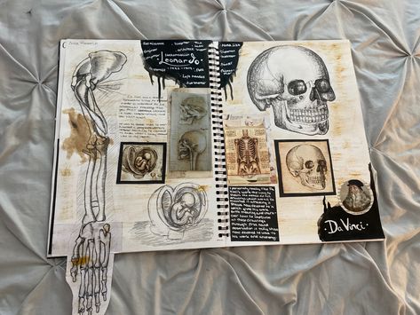 Anatomy Sketch Book, Skulls Gcse Art, Gcse Art Sketchbook Anatomy, Sketchbook Information Page, Skacbook Ideas, Art Timeline Sketchbook, Anatomy Gcse Art Page, Multimedia Sketchbook Ideas, Decay Art Gcse