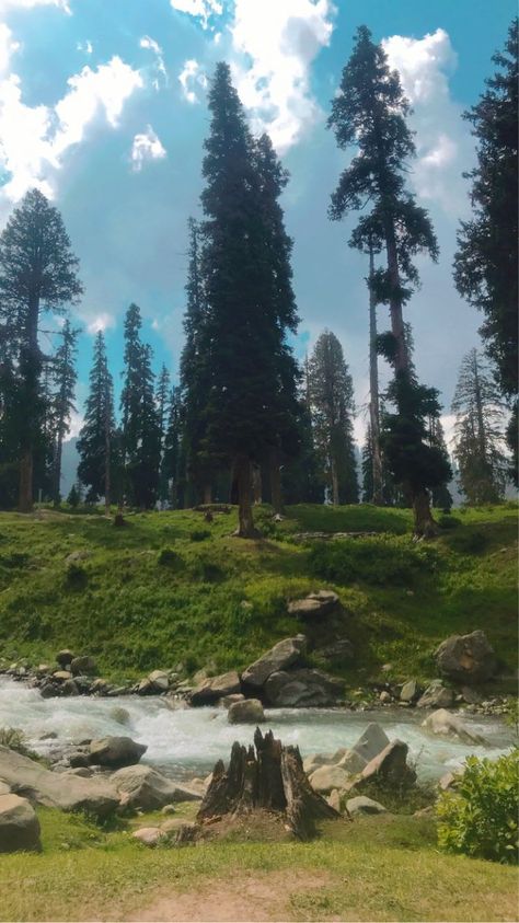 Gulmarg Kashmir Gulmarg In Summer, Gulmarg Aesthetic, Gulmarg Kashmir Aesthetic, Gulmarg Kashmir, Bottle Fairy Lights, Kashmir Trip, Random Snaps, Aesthetic View, Jammu Kashmir