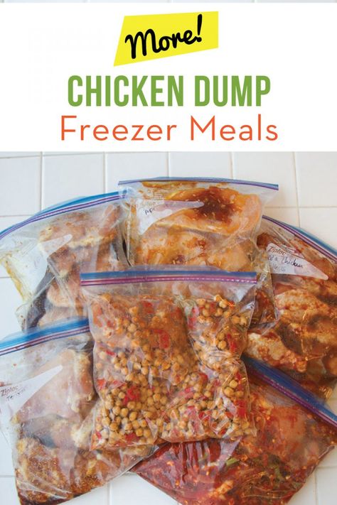 MORE Chicken Dump Freezer Meals Dump Freezer Meals, Chicken Dump Recipes, Freeze Meals, Freezer Meal Plan, Chicken Freezer, Crispy Oven Fried Chicken, Dump Recipes, Chicken Freezer Meals, Ready Meals