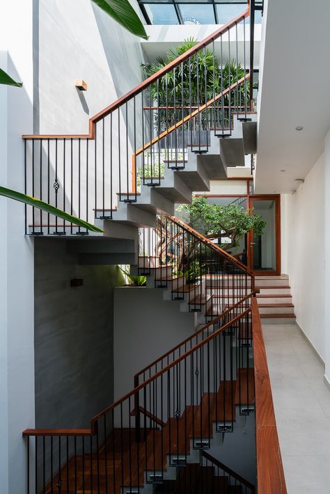 Văn phòng Anpha , AD9 Architects, cây xanh, cầu thang gỗ, thông tầng, giếng trời Railing Designs, Timber Architecture, Courtyard Design, Minimalist House, Stair Case, Narrow House, Lan Can, Street House, House Modern