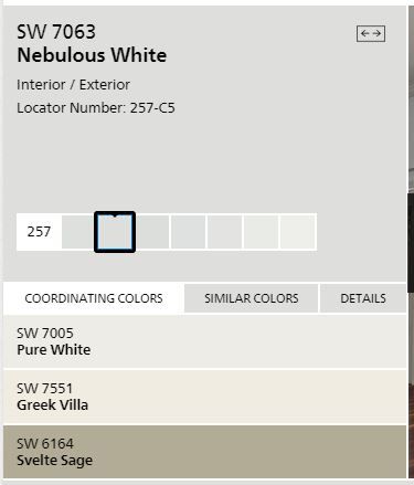 Sherwin Williams Nebulous White Walls, Nebulous White, Nebulous White Sherwin Williams, Pastel Paint Colors, Paint Color Combos, Coastal Farmhouse Decor, Exterior Paint Color, White Paint Colors, Sherwin Williams Paint Colors