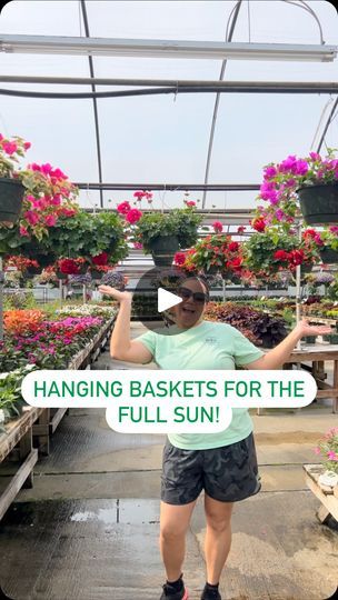 5.1K views · 562 reactions | Hanging Baskets for the FULL SUN ☀️. These plants can tolerate 6-8 hours of direct sunlight, including the intense afternoon sun. 

🌸 Bougainvillea 
🌸 Geranium
🌸 Dragon Wing Begonias
🌸 Million Bells
🌸 Petunias
🌸 Sunpatiens 
🌸 Mezoo

#hangingbasket #hangingbaskets #flowersforsun #bougainvillea #petunia #begonia #geranium #sunpatiens #mezoo | Fairview Garden Center | Tundra Beats · Perfect Day Petunia Hanging Baskets, Million Bells, Dragon Wing, Homestead Gardens, Plants For Hanging Baskets, Plant Hacks, Afternoon Sun, Garden Containers, Front Porch Decorating