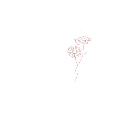 Behind The Ear Daisy Tattoo, Small Dainty Daisy Tattoo, Small Tattoos Daisy Flower, Dainty Gerber Daisy Tattoo, Daisy Bouquet Tattoo Simple, Daisy Ink Drawing, Line Art Daisy Tattoo, Fine Line Gerbera Tattoo, Minimalist Sunflower Tattoo Simple