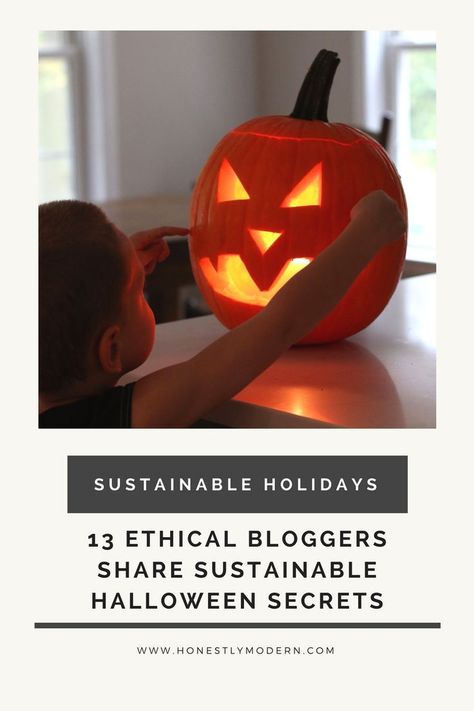 Fear Not ~ 13 Ethical Bloggers Share Sustainable Halloween Secrets Sustainable Halloween, Sustainable Event, Sustainable Living For Beginners, Sustainability Tips, Vegan Halloween Food, Sustainable Tips, Digital Grimoire, Green Crafts, Zero Waste Holiday