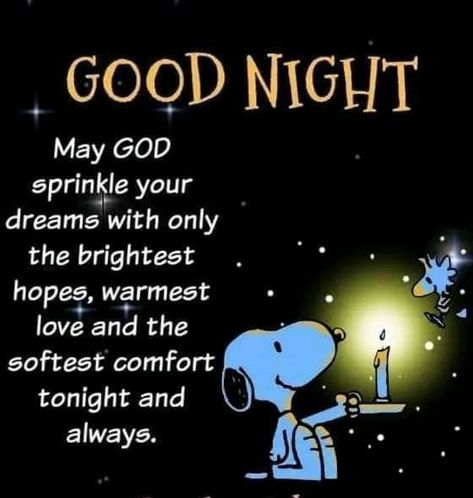 Snoopy Good Night Blessings, Good Night Charlie Brown, Goodnight Snoopy Gif, Goodnight Snoopy Sweet Dreams, Snoopy Blessings, Snoopy Good Night, Good Night Snoopy, Good Night Sunday, Funny Good Night Pictures