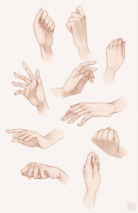 Drawing Hands, Hand Drawing Reference, Charcoal Drawings, Hand Reference, Poses References, Anatomy Drawing, Body Drawing, Anatomy Reference, Drawing Tutorials