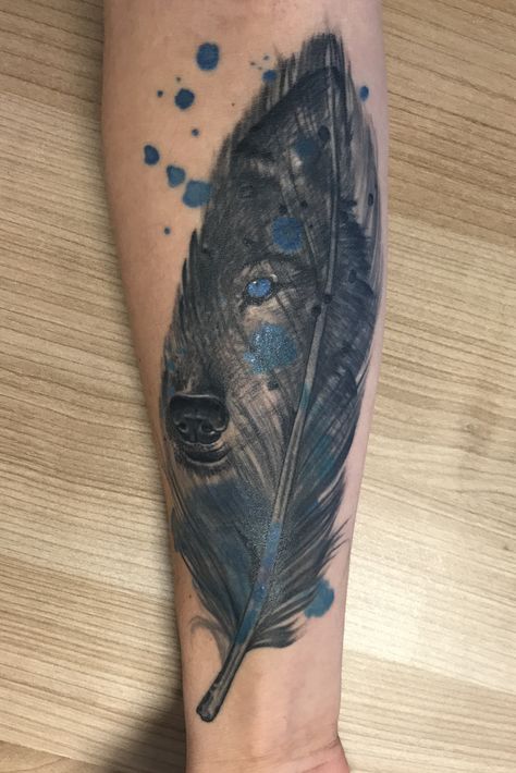 Wolf in Feather Tattoo Wolf And Feather Tattoo Design, Jw Tattoo, Feather And Wolf Tattoo, Blue Eye Wolf Tattoo, Wolf Feather Tattoo, Camden Tattoo, Raven Feather Tattoo, Large Feather Tattoo, Feather Cover-up Tattoo