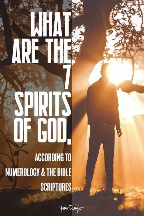 7 Spirits Of God, According To Numerology & Bible Scriptures | YourTango #religion #spirituality #spirits #god #numerology #biblescriptures #spiritsofgod 7 Spirits Of God, Life Path 7, Life Path Number 7, Love Birds Pet, The Number 7, True Meaning Of Life, Birds Pet, Revelation 1, Numerology Life Path